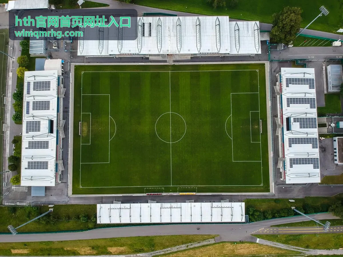 hth官网首页网址入口 移动端与桌面端差异封面