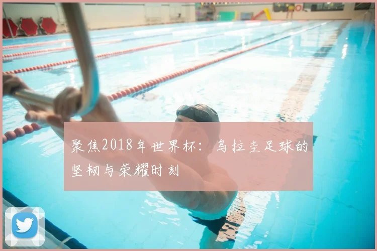 聚焦2018年世界杯:乌拉圭足球的坚韧与荣耀时刻