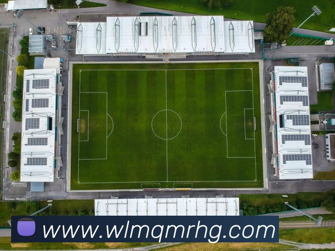 开云官方登陆入口APP 体育赛事宣传图